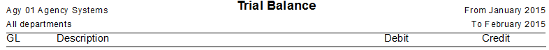 Report-trialbalance-partial-header.png